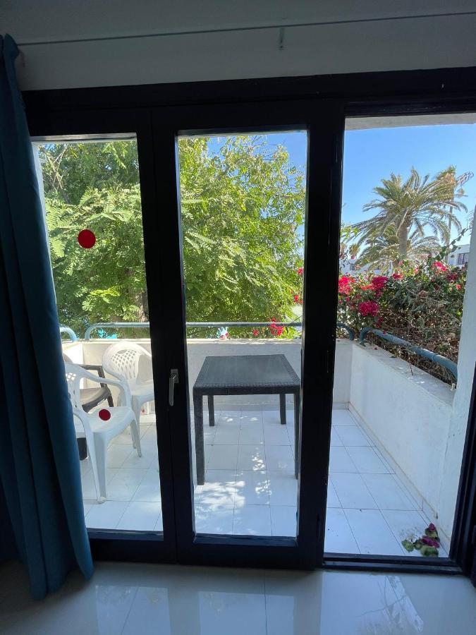 Appartement Oasis *
